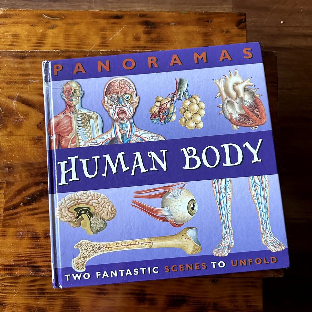 Panoramas Human Body Two Fantastic Scenes To Unfold Hardcover Book